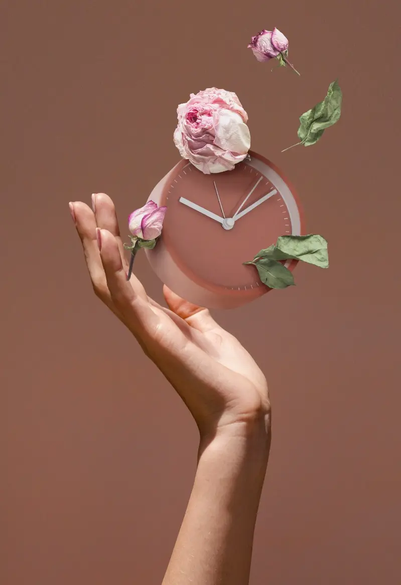 Menopause of the female reproductive system